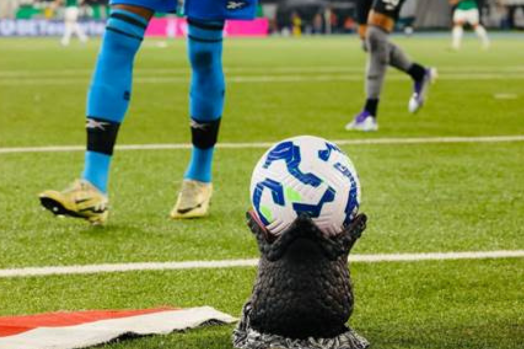 Alien: Earth no estadio Nilton Santos - Foto: Reprodução/Disney