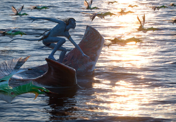 Avatar Fogo e Cinzas - Foto: Divugação/Fox